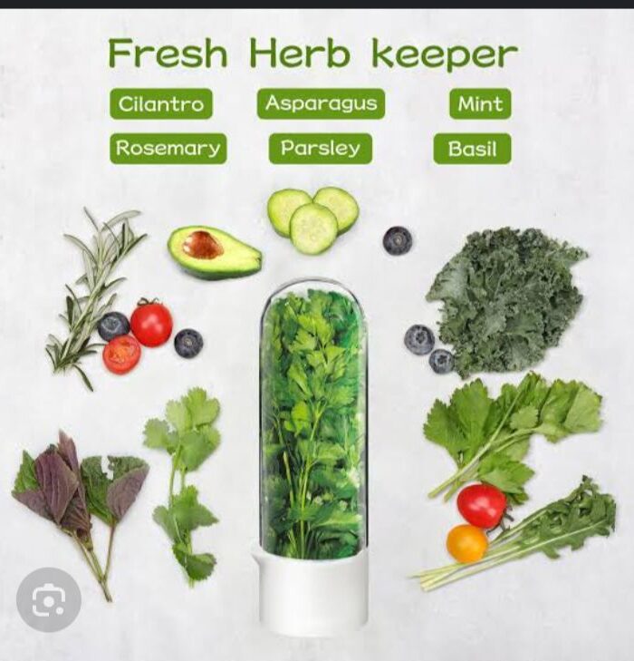 Herb saver for refrigerator fresh herb keeper & storage